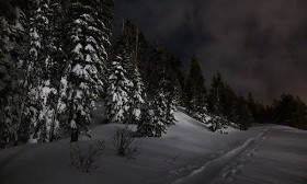 These Skiers Cleared Out as Group That Would Be Hit by Avalanche Arrived