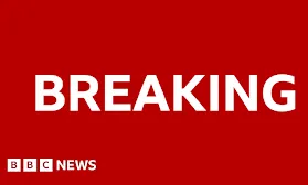 UN Security Council backs Trump plan for Gaza