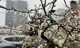 Ice storm in Georgia causing tens of thousands of power outages in metro Atlanta
